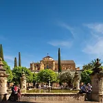 Apartamentos Premium - Arcos De Medina 101