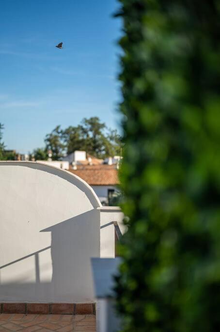 Apartamento Premium - Arcos De Medina 101