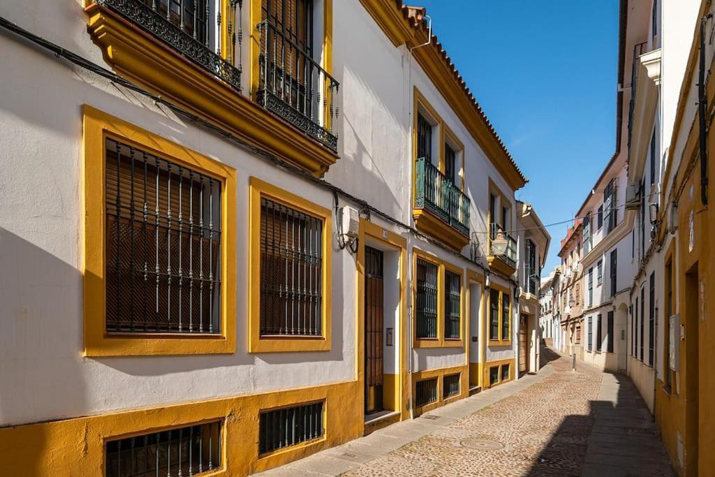 Premium - Arcos De Medina 101