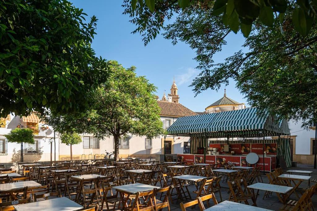 Apartamento Premium - Arcos De Medina 101 *