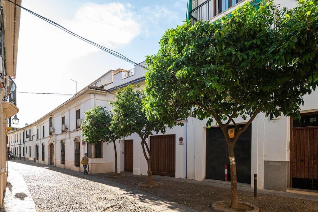 Premium - Arcos De Medina 101 Córdoba