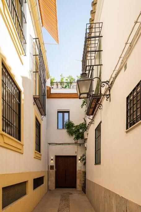 Apartamento Premium - Arcos De Medina 101 *