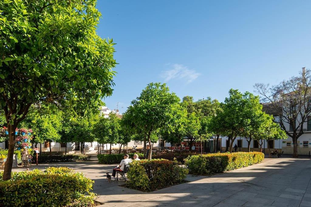 Apartamento Premium - Arcos De Medina 101