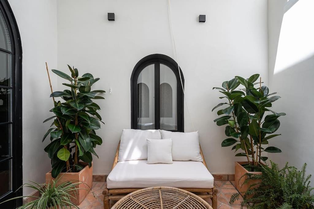 Premium - Arcos De Medina 101