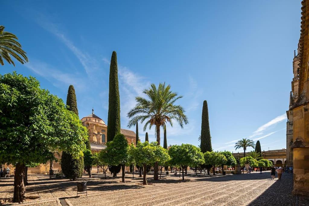 Premium - Arcos De Medina 101 Apartamento